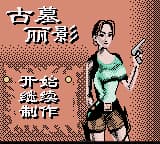 古墓丽影 (简) (unknown)