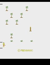 Riddle of the Sphinx (1982) (Imagic)