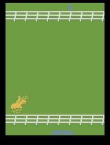 Stampede (1981) (Activision) [!]