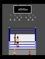 Title Match Pro Wrestling (1989) (Activision) [!]