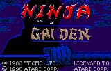 Ninja Gaiden (USA, Europe)