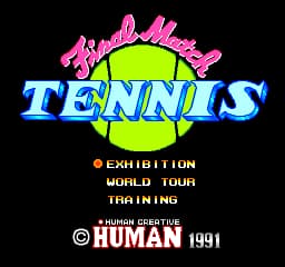 Final Match Tennis (Japan)