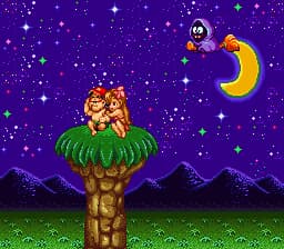 Super Adventure Island (USA)