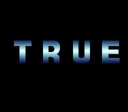 True Lies (Germany) (En)
