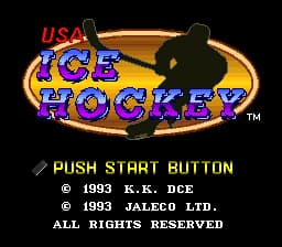 USA Ice Hockey (Japan) (En) (Rev 1)