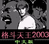 格斗天王2003 (简) (广誉科技)