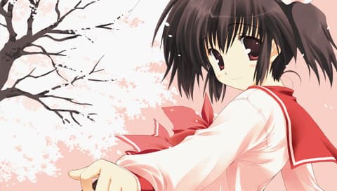 心之彼端2 携带版 [简][CK GAL汉化组]