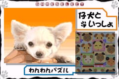 爱情物语可爱的宠物小狗 Koinu to Issho - Aijou Monogatari(JP)(Culture Brain)(128Mb)