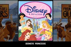 游戏2合1 - 熊兄弟+迪斯尼公主 2 Games in 1 - Disney Princesse + Frere des Ours(FR)(M8)(THQ)(128Mb)