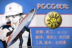 网球王子 - 天才少年学院[PGCG](简)(JP)(64Mb)