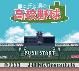 Chi to Ase to Namida no Koukou Yakyuu (Japan)